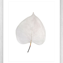 Fragile Leaves Collection - Framed Art Prints (FRAG04) - Artwork