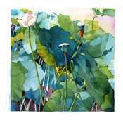 Kyoto Limited Edition Watercolor