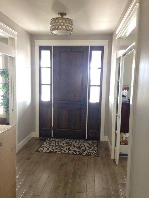 Should I paint these sidelights?