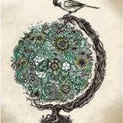Evelyn Socarras's photo