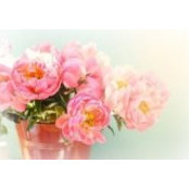 Anna Voloshuk's photo