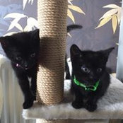 Janice Carter's photo