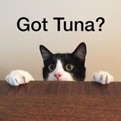 Sheldon Gendron's photo