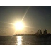 Laura Godwin's photo