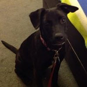 James Melton's photo