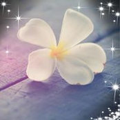 Barbara Ellerbe's photo
