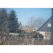 Gregor Bienert's photo