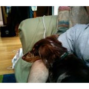Howard Kaufman's photo