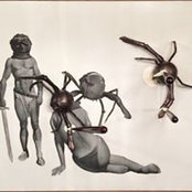 Foto von Peter Geyen
