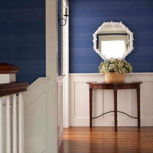 Inspiration för mellanstora klassiska hallar, med blå väggar och mörkt trägolv