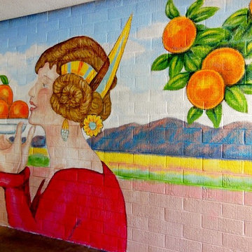 Rite Aid Shopping Center Murals - Muralist Carolee Merrill