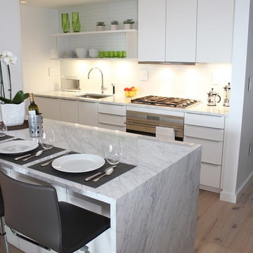 White Galley Kitchen
