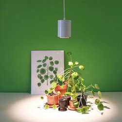 Green & Clean - Decorative Accents