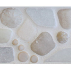 "Sand Dollars - Whites" Border - Tile