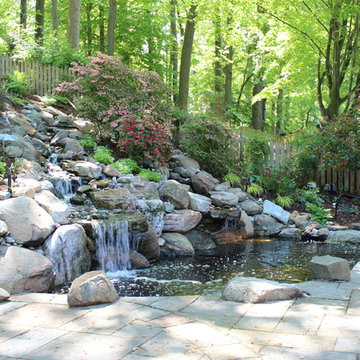 Sleeping With the Fishes in Bethesda MD