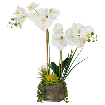 Artificial Phalaenopsis Orchids With Succulents Floral Arrangement, Pot