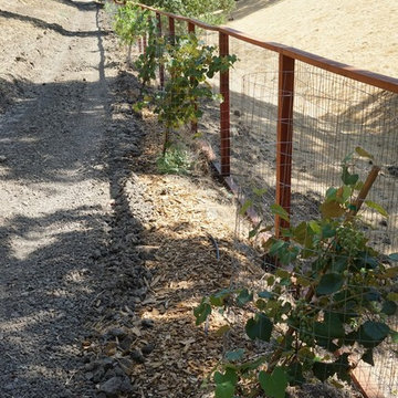 Danville 2 acre Food Forest!