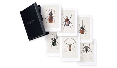 Eclectic Prints And Posters Set of 6 Bug Prints