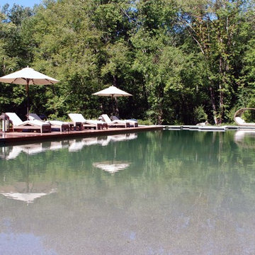 BioNova® Natural Swimming Pool - Danbury, CT