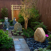 plants/shrubs around front trees