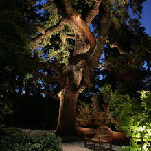 landscape lighting