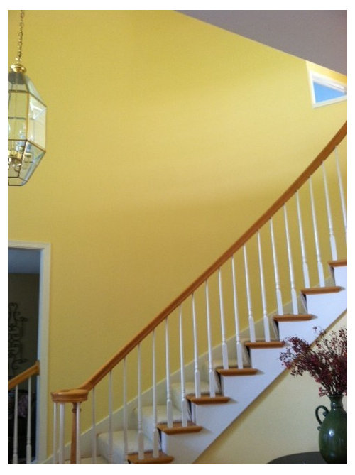 Stain or paint my bannisters?? Need help!