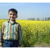 Foto von Pushpinder Kaushal