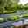 Unique Landscapes Ltd