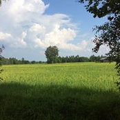 Kimberly Watson's photo
