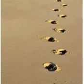 Janine Carr's photo