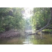 Michael Quimby's photo