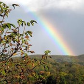 Laetitia Blumenroeder's photo