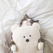 Rapina Iberam's photo