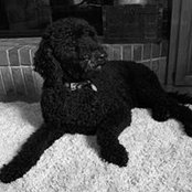 Cydney Lovell's photo