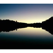 Tony Basher's photo