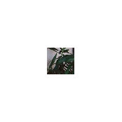 Steven Litman's photo