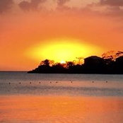 Sue Sierens's photo