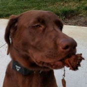 Vince Schlatter's photo