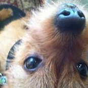 Heather Gendron's photo
