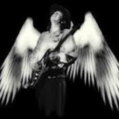 Steve Wisbey's photo