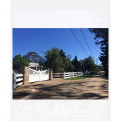 Pat Gulf's photo