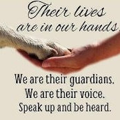 Tina Baker Rivera's photo
