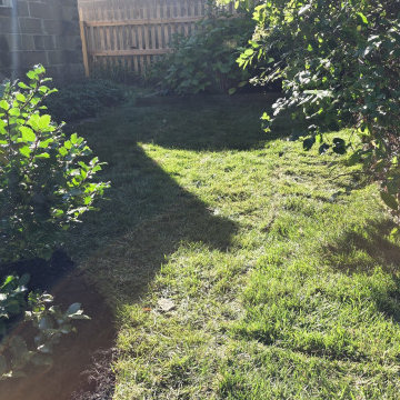 Lawn Grading & Sod Installation - Rexford, NY