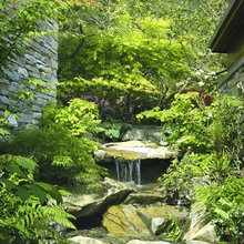 Landscape Ideas