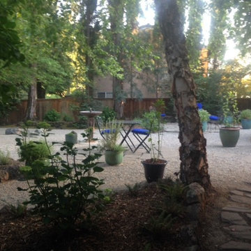 Large Xeriscape - Chico, CA