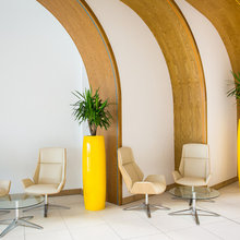 Interior Design with Plants