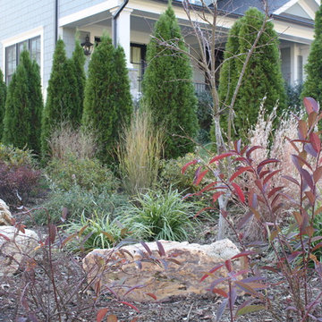 Bethesda Woodland Garden