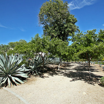 Family Compound