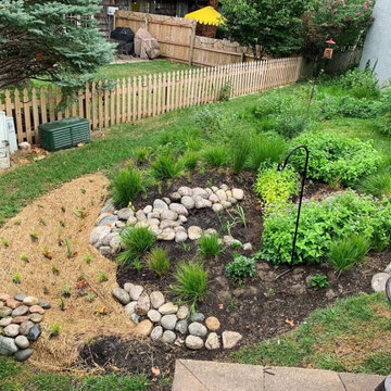 Native Plant Landscaping, Hardscaping, and Bioswales