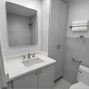 Luxury condo renovation